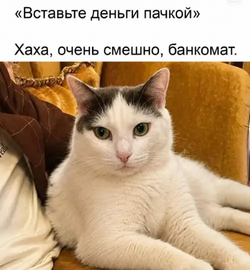 Когда банк не понимает твой уровень 😂 - Вставьте деньги пачкой. Хаха, очень смешно, банкомат.