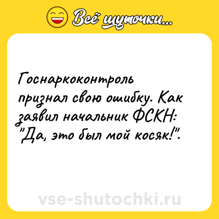 Шутка: Госнаркоконтроль признал свою ошибку. Как заявил начальник ФСКН: Да, это был мой косяк! .