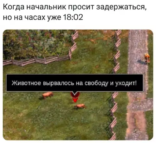Побег из офисного рабства 🏃💨 - Когда начальник просит задержаться, но на часах уже 18:02. Животное