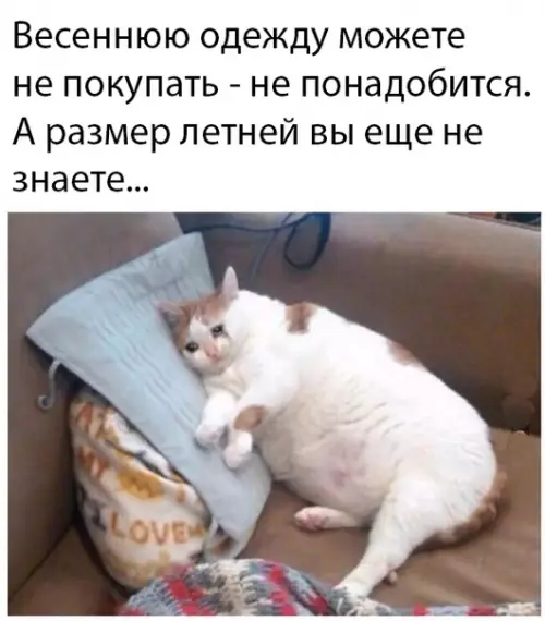 Смешная картинка №482216 карантин