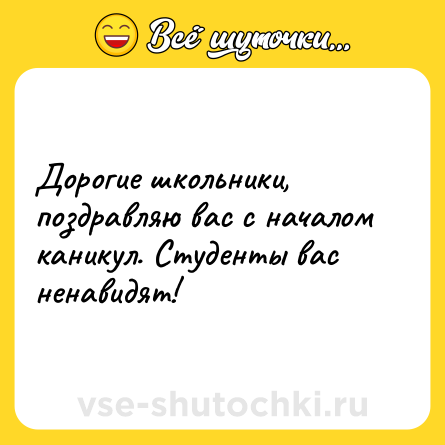 Шутка: Дорогие школьники, поздравляю вас с началом каникул. Студенты вас ненавидят!