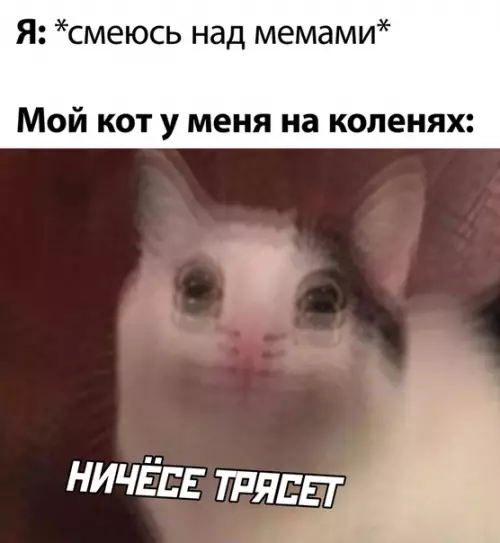 Смешная картинка №499349