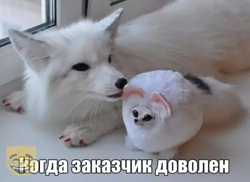 Смешная картинка №406014 #приколы #картинки #мемы ?