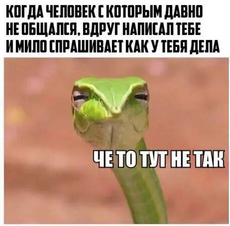 Смешная картинка №261064