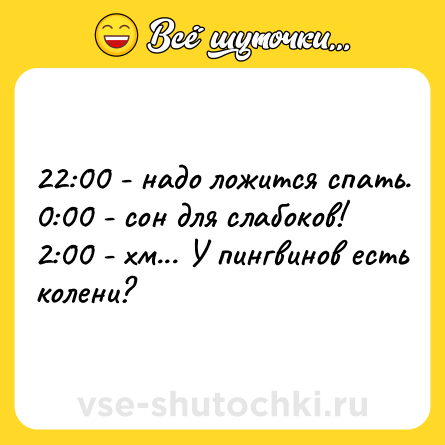 Шутка: 22:00 - надо ложится спать. <br>0:00 - сон для слабоков!<br>2:00 - хм... У пингвинов есть колени?