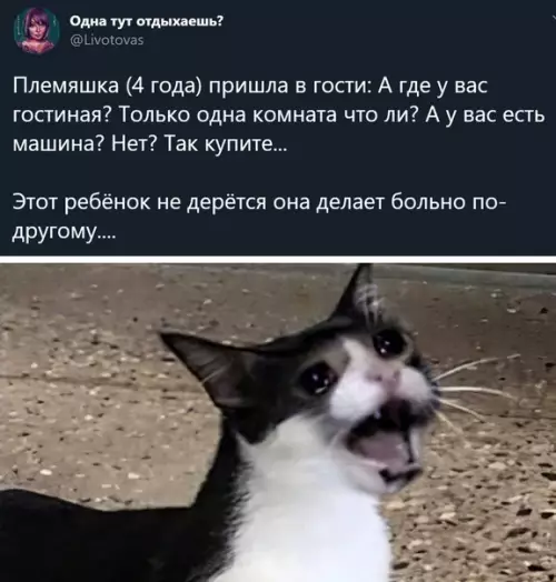 Смешная картинка №504464