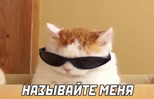 продолжение Смешная картинка №590384