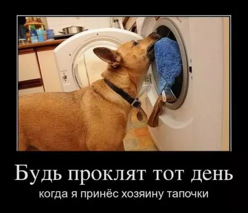 Смешная картинка №302077