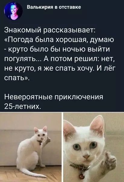 Смешная картинка №365636