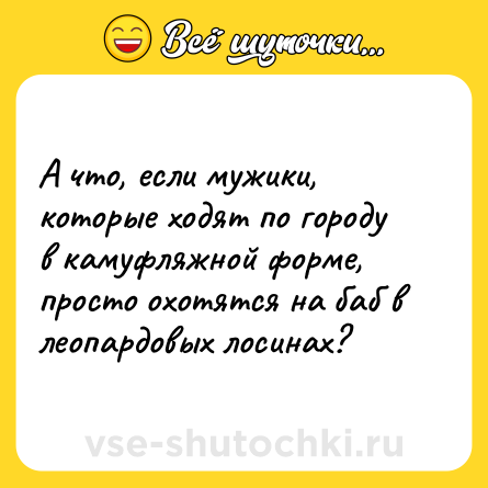Шутка: А что, если мужики, которые ходят по городу в камуфляжной форме, просто охотятся на баб в леопардовых лосинах?