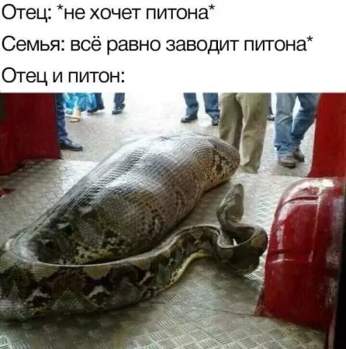 Смешная картинка №696456