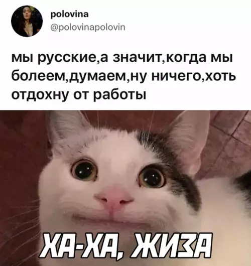 Смешная картинка №614355