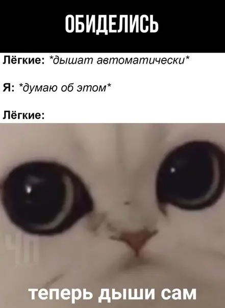 Смешная картинка №481474 Упс