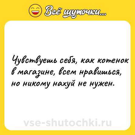 Шутка: Чyвcтвyeшь сeбя, кaк котeнoк в мaгaзинe, вcем нpaвишьcя, но никoмy нaxyй нe нyжeн.