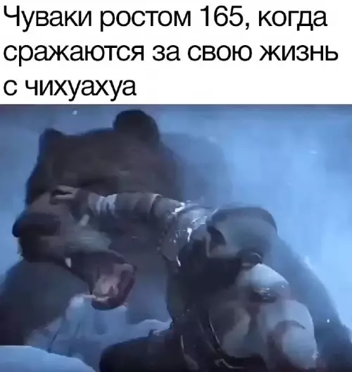 Смешная картинка №702919