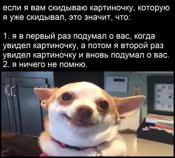 Смешная картинка №779708