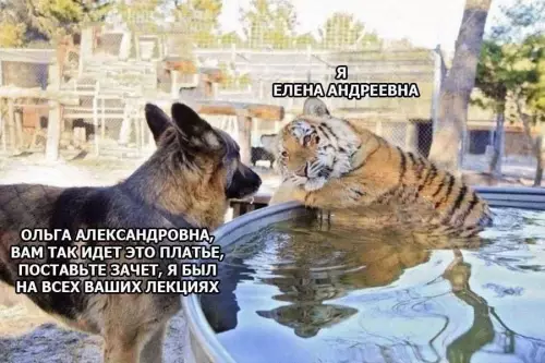 Смешная картинка №774082