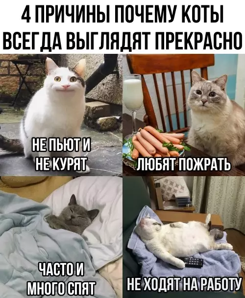 Смешная картинка №781154