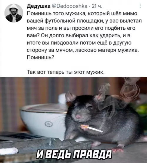 Смешная картинка №591898
