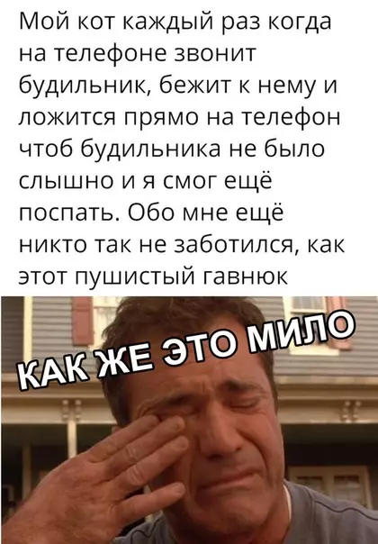 Смешная картинка №333740