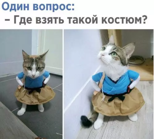 Смешная картинка №255474