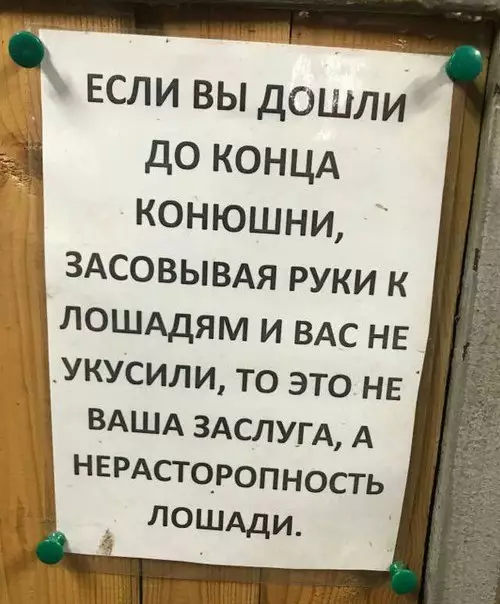 Смешная картинка №230268 И лошади бывают нерасторопные!