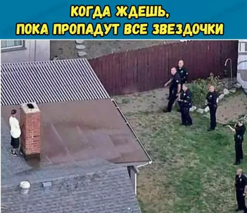 Смешная картинка №272841