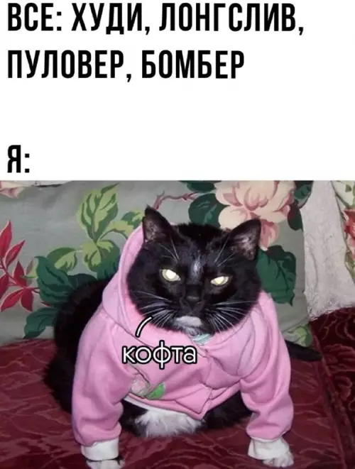 Смешная картинка №728990 Прошу не путать  