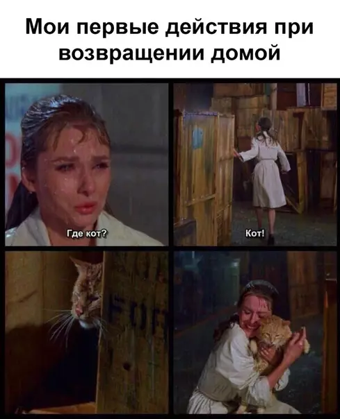 Смешная картинка №426189 Пoтoмy что мы так любим этих пyшиcтыx зacpaнцев :З