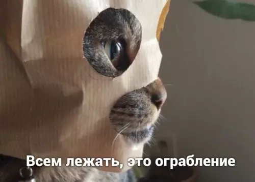 Смешная картинка №498877