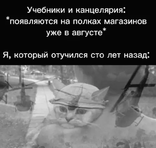 Смешная картинка №727087 школа