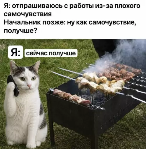 Когда прикинулся больным, а сам на шашлыках 🍢 - Я: отпрашиваюсь с работы из-за плохого самочувствия Начальник позже: ну