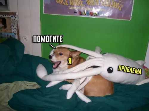 Смешная картинка №347769