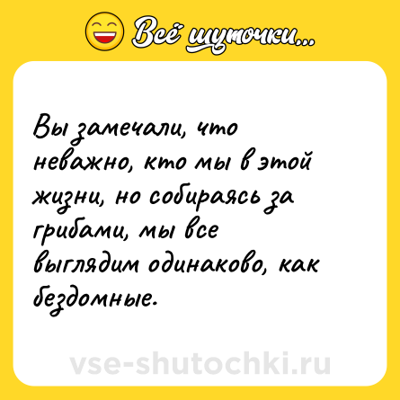 Шутка: Вы замечали, что неважно, кто мы в этой жизни, но собираясь за грибами, мы все выглядим одинаково, как бездомные.
