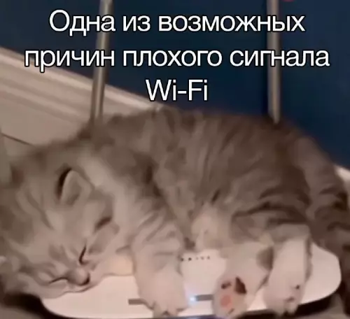 Смешная картинка №672195