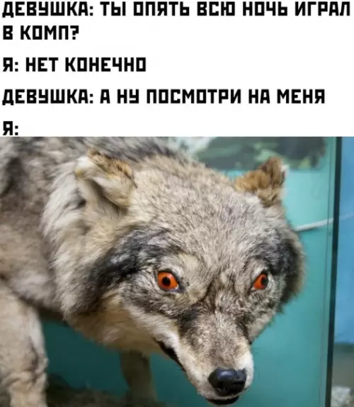 Смешная картинка №551465