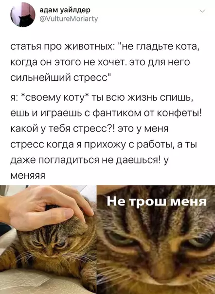 Смешная картинка №397695
