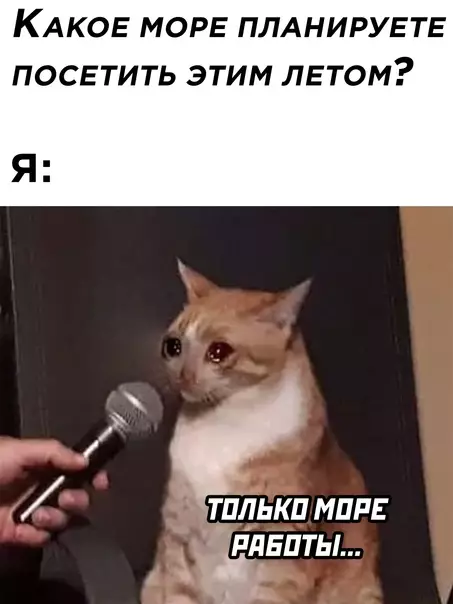 Смешная картинка №584533
