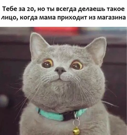 Смешная картинка №221704