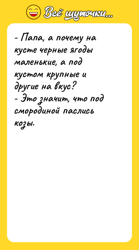 - Папа, а почему на кусте черные ягоды маленькие, а
