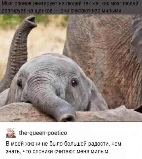 Смешная картинка №250992