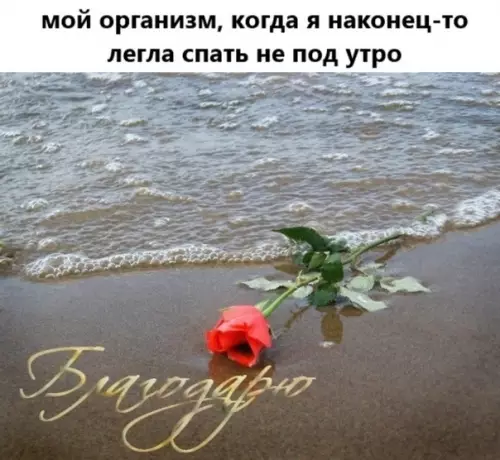 Смешная картинка №537445 Извини, не сегодня, друг