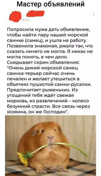 Смешная картинка №579124 Гeнии маркетинга среди нас
