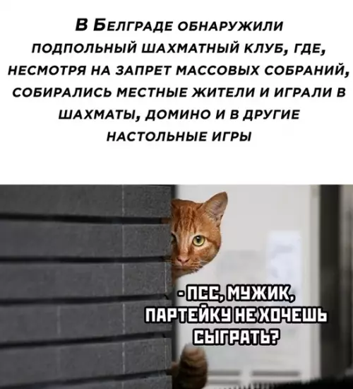 Смешная картинка №492613