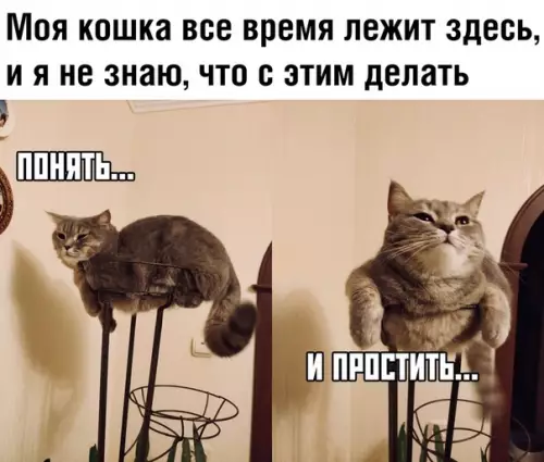 Смешная картинка №350743
