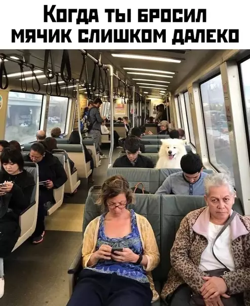 Смешная картинка №420627