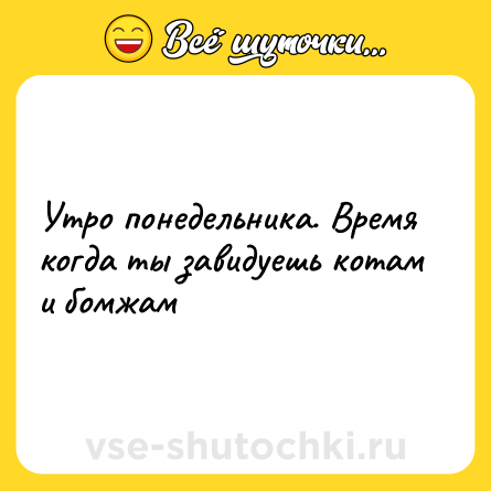 Шутка: Утро понедельника. Время когда ты завидуешь котам и бомжам