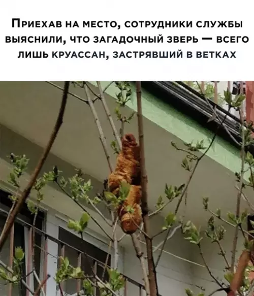 продолжение Смешная картинка №566978