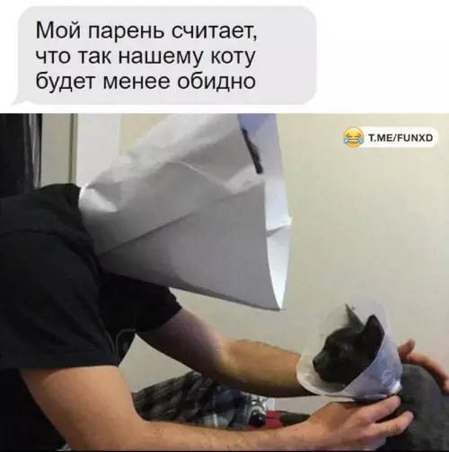 Кошачья солидарность — это уровень! 😂 - Мой парень считает, что так нашему коту будет менее обидно