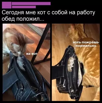 Смешная картинка №748730 Забота